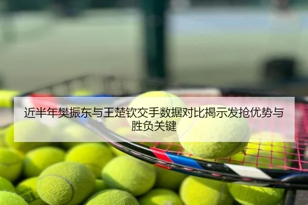 近半年樊振东与王楚钦交手数据对比揭示发抢优势与胜负关键