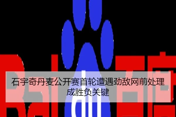 石宇奇丹麦公开赛首轮遭遇劲敌网前处理成胜负关键