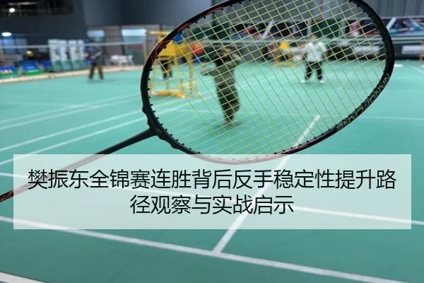 樊振东全锦赛连胜背后反手稳定性提升路径观察与实战启示
